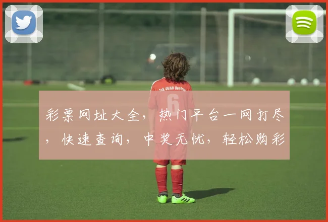 彩票网址大全，热门平台一网打尽，快速查询，中奖无忧，轻松购彩