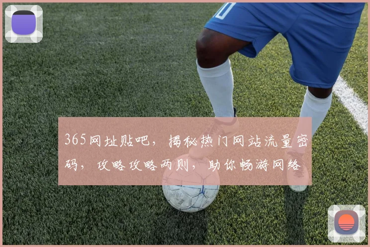 365网址贴吧，揭秘热门网站流量密码，攻略攻略两则，助你畅游网络世界