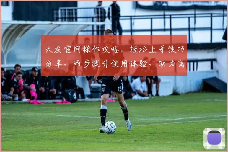 大发官网操作攻略，轻松上手技巧分享，两步提升使用体验，助力高效投资